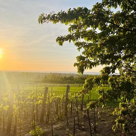 Lejlighed Hutiferi *