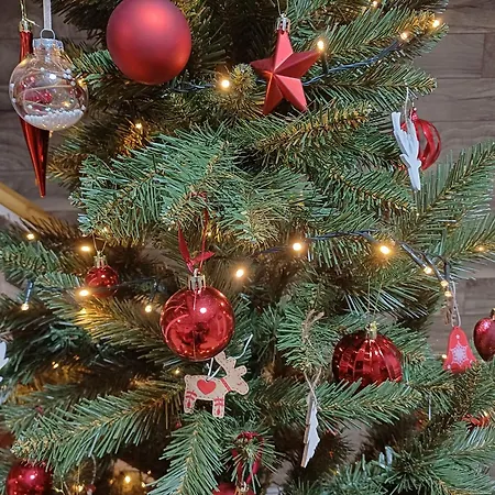 Hutiferi Lejlighed Siófok